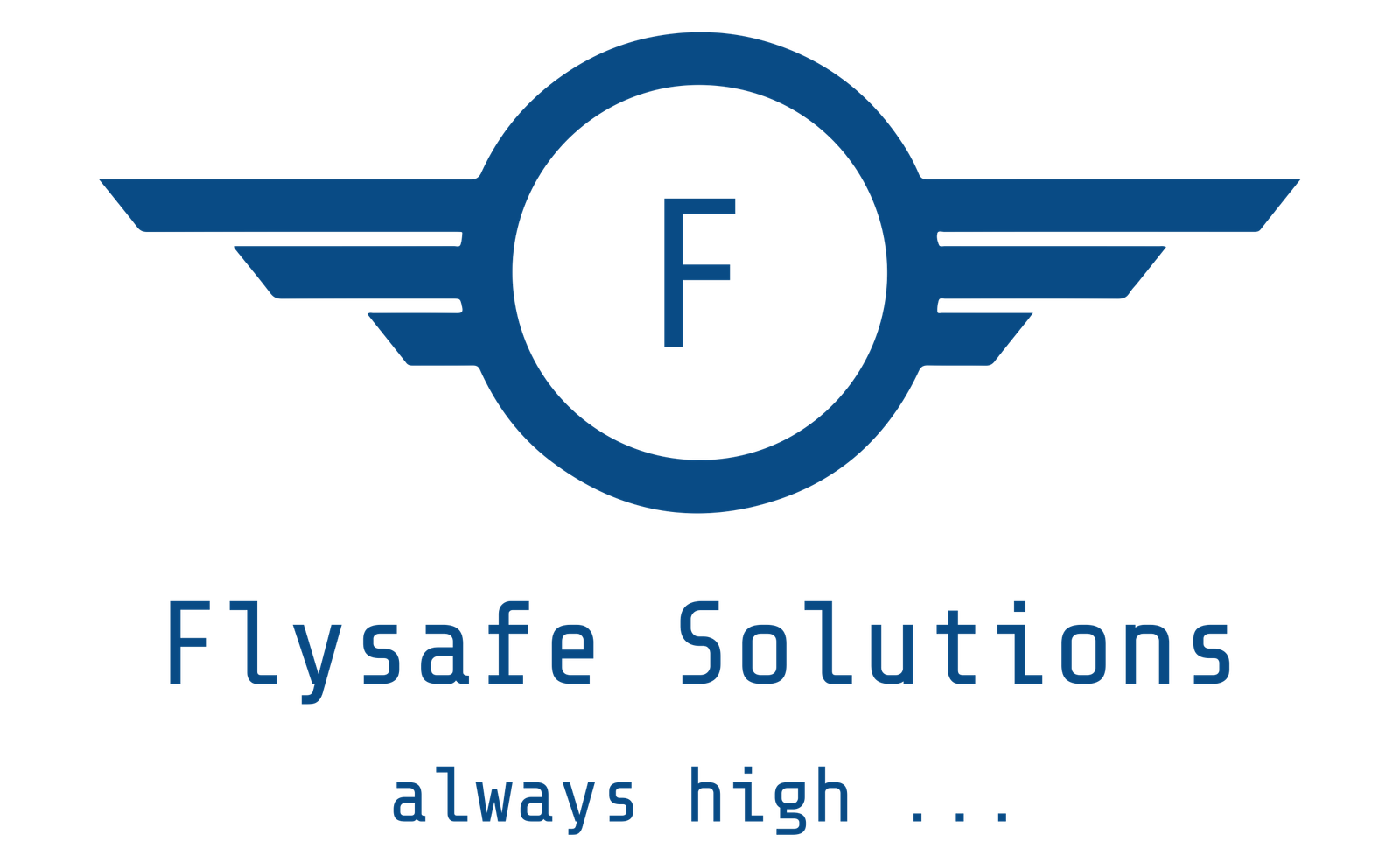 FlySafe Solutions